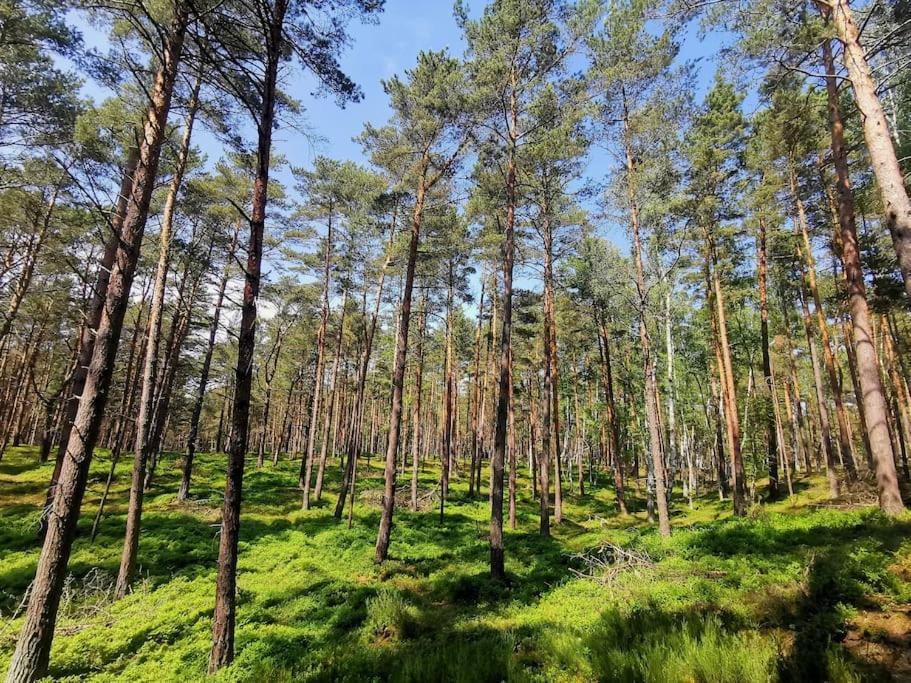 Campolohel- Przyczepa Kempingowa Zewnętrze zdjęcie